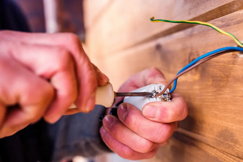 electrical professionals